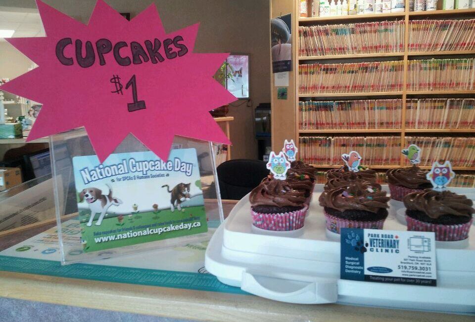 Cupcakes at Park Road Veterinary Clinic