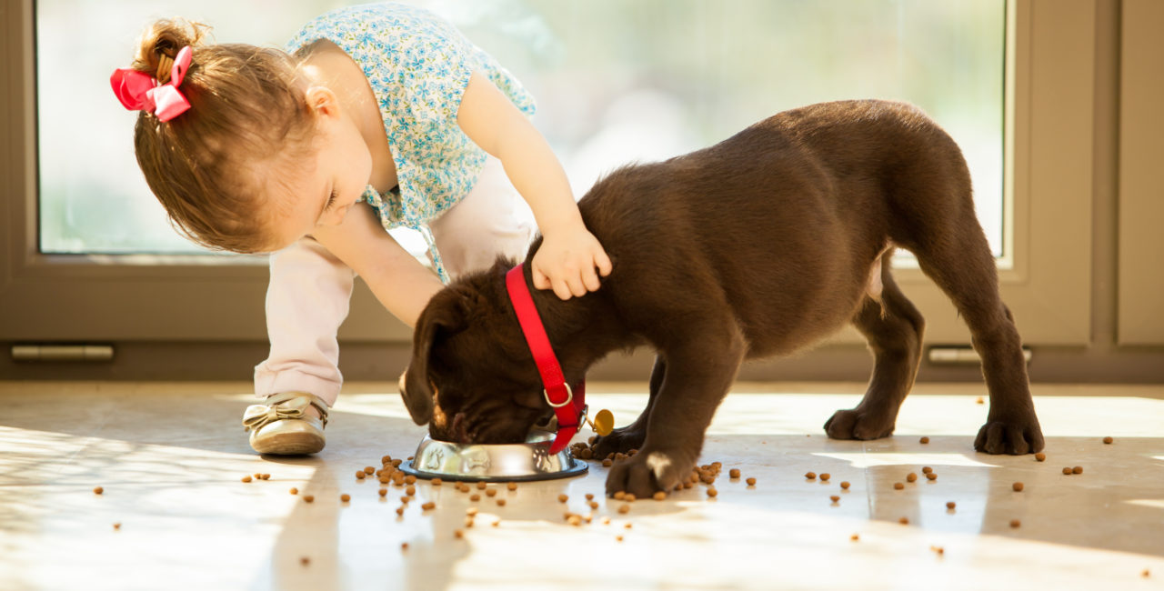 Little girl feeding her puppy