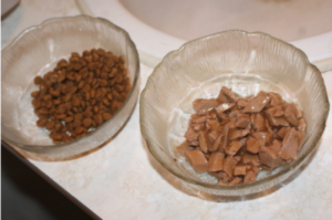 Cat food in bowls
