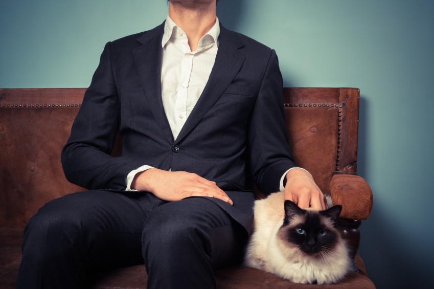 Owner sitting with their cat on a sofa